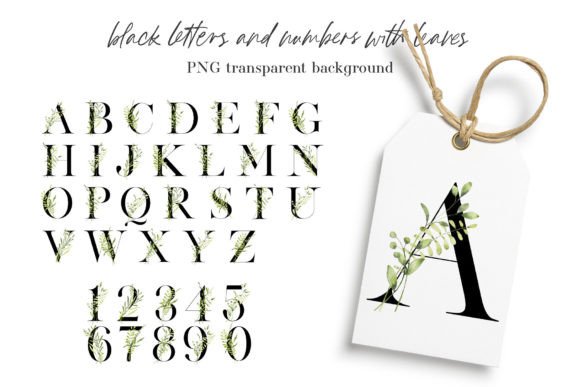 Alphabet, Letters and Numbers Leaves Graphics Freebies Review