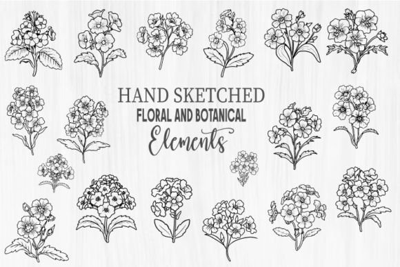 Hand Sketched Floral Botanical Element Graphics for Crafts